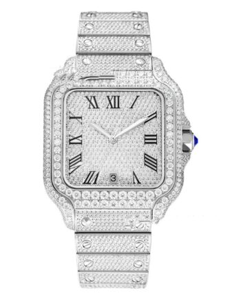 Clarity Moissanite Watch Men's Stainless Steel